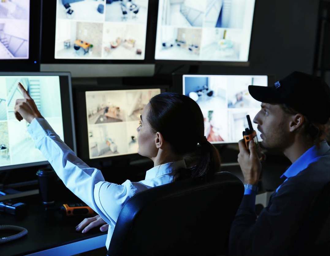 UNITED STATES Blue Raven Force Protection – 3 Armed & Unarmed Security | Alarm Monitoring | Patrol Services, events, cabin, bodyguards, in Tennessee, Alabama, Mississippi, Kentucky and Georgia.